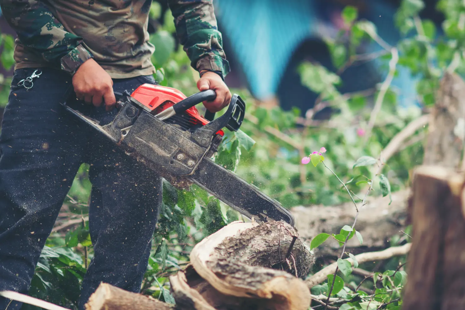 Tree Service SEO