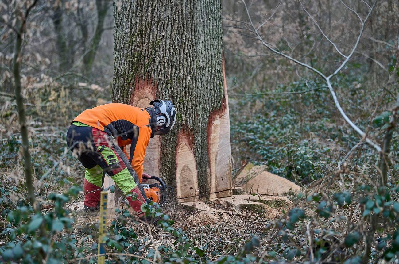 Tree service business